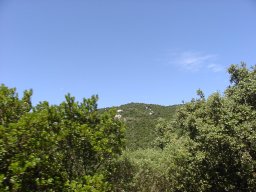 P1010151