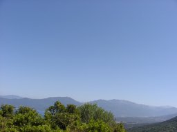 P1010153
