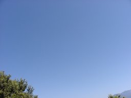 P1010154