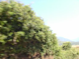 P1010161