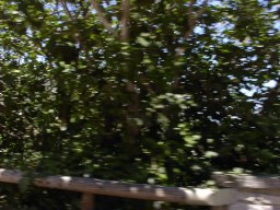P1010166