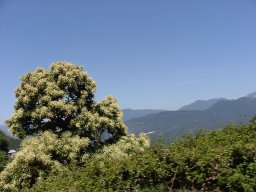 P1010167