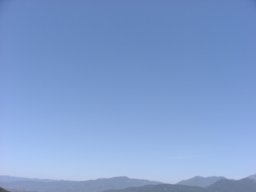 P1010168