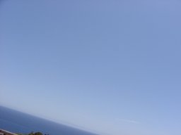 P1010173