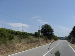 P7050003