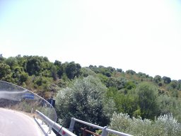 P7050004