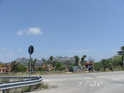P7050008