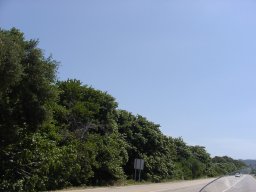 P7050009