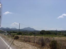 P7050010