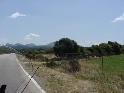 P7050011