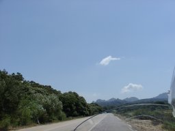 P7050012