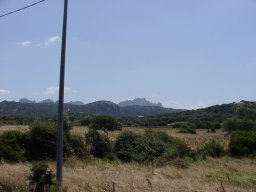 P7050014