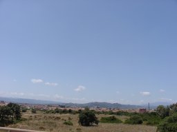P7050016