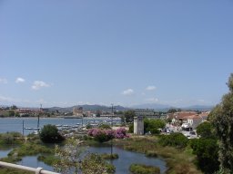 P7050018