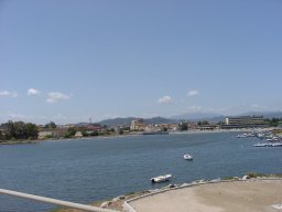 P7050019