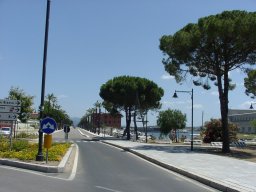 P7050023