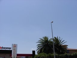 P7050028