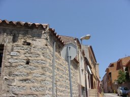 P7050033