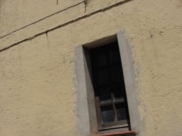 P7050034