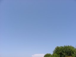 P7050036