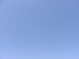 P7050039