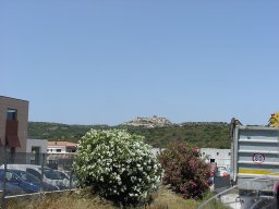 P7050040