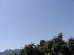 P7110061