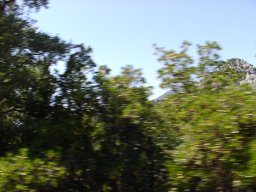 P7110062