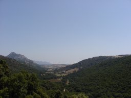 P7110067