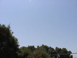 P7110069