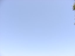 P7110078