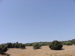 P7110081
