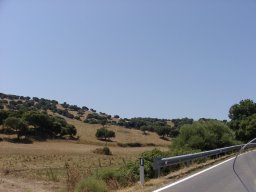 P7110082