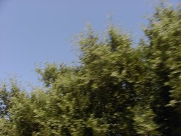 P7110083