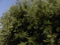 P7110084