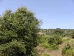 P7110090