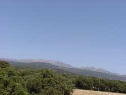 P7110097