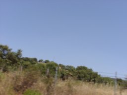 P7110100
