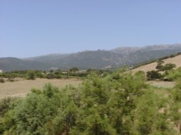 P7110103