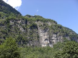 P7150123