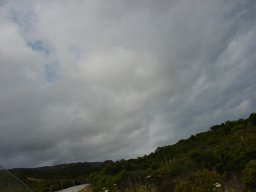 P6120008