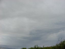P6120009