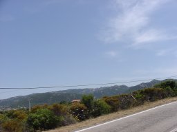 P6190018