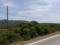 P6190019