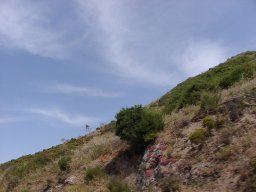 P6190034