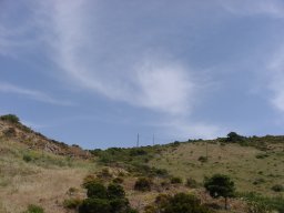 P6190036