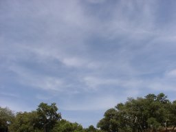 P6190051