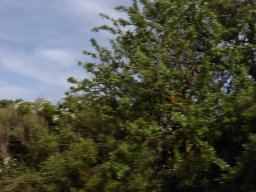 P6190057