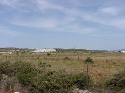 P6190059