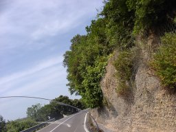 P6190075